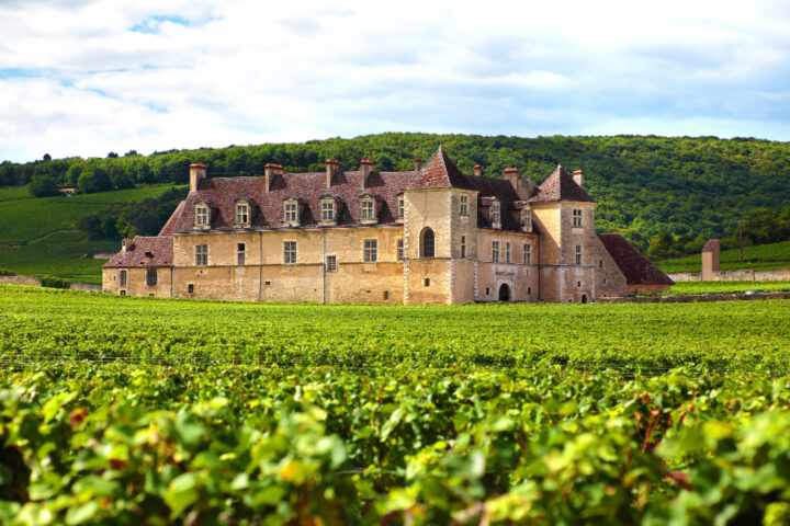 La route des vins de Bourgogne : itinéraire gourmand et œnologique