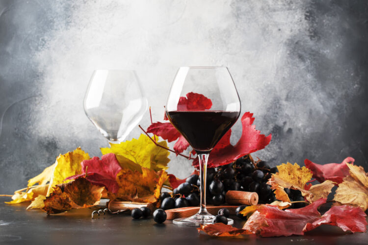 Quand l’automne rencontre le terroir : des accords mets et vins de saison